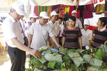 Quảng Nam đề nghị đưa cây sâm Ngọc Linh lên thành nền công nghiệp sâm Việt Nam.