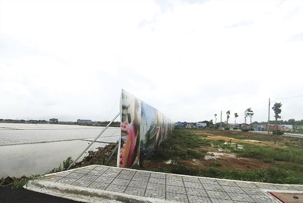 Một dự án ruộng muối được đem phân lô bán nền.