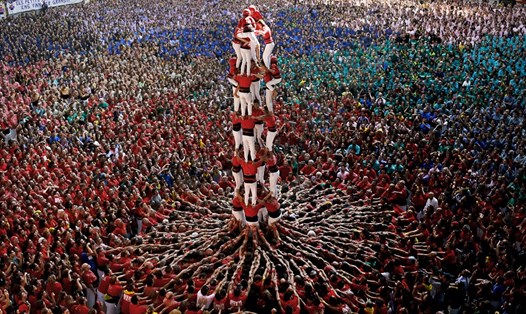 Ảnh: wantseeproject.com