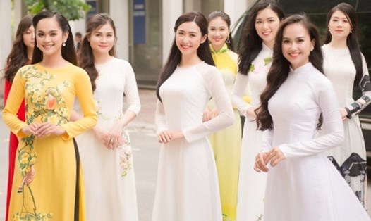 Các thí sinh Hoa hậu Việt Nam. Ảnh: BTC. 