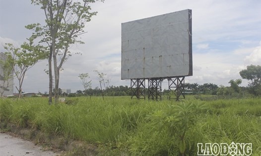 Dự án bỏ hoang trên địa bàn huyện Mê Linh (Hà Nội). Ảnh Trần Vương