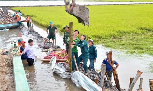 Dân quân đang bảo vệ bờ bao bảo vệ 150ha lúa tại xã Vĩnh Gia, huyện Tri Tôn, tỉnh An Giang. Ảnh: Lục Tùng