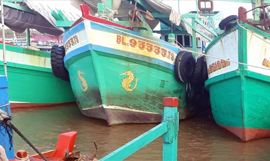 Tàu thuyền đậu tại Gành Hào, huyện Đông Hải, Bạc Liêu không ra khơi do bão số 1(ảnh Nhật Hồ)