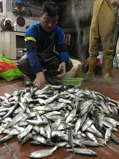 Chiến lợi phẩm trong tour du lịch "Một ngày làm ngư dân" trên đảo Quan Lạn