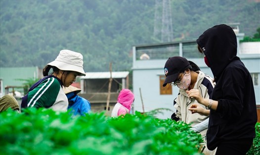 Sinh viên kiếm thêm thu nhập bằng nghề chăm sóc hoa dịp Tết Ảnh: Hoàng Vinh