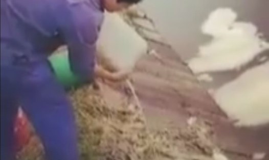 Ông Nguyễn Văn Tùng đang đổ chất thải ra kênh - Ảnh cắt từ clip