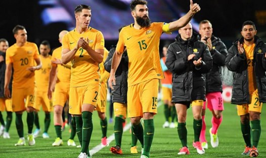 Dự đoán Úc vs Palestine Asian Cup 2019: Kèo trên nhận mưa bàn thắng.