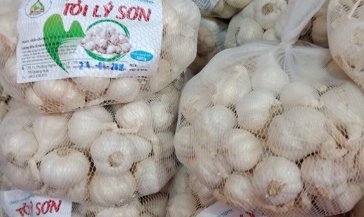 Tỏi Lý Sơn