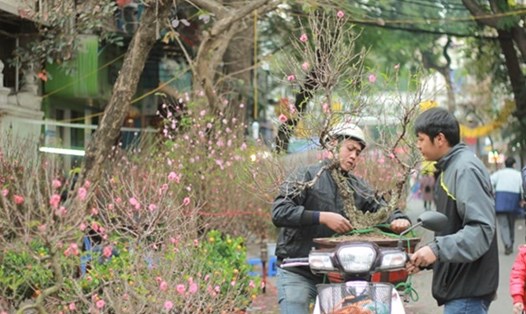 Chợ hoa Hàng Lược, Hà Nội. Ảnh PV