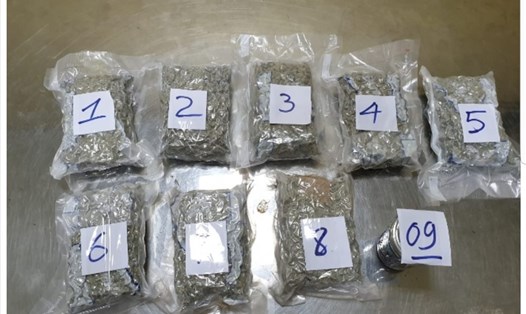 8 gói ma túy dạng thực vật và 1 lọ chất dẻo nghi là ma túy tổng hợp bị phát hiện trong thùng hàng từ Mỹ gửi về. Ảnh: H.Q