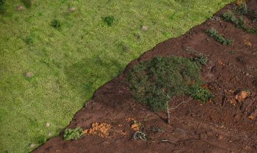 Dòng bùn đất từ đập chất thải nhà máy khai mỏ nhấn chìm thảm thực vật nơi nó quét qua. Ảnh: AFP. 