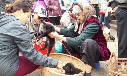 Cụ Nguyễn Thị Chấp (SN 1932, ở huyện An Lão, TP.Hải Phòng) mang bán 2 con chó tại phiên chợ Hàng. Ảnh: PV.