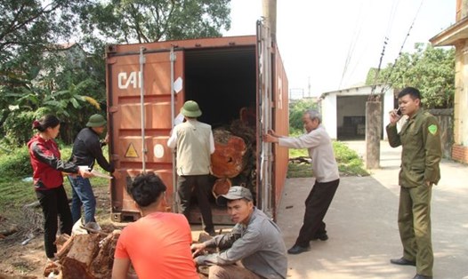 Toàn bộ số gỗ sưa được để trong thùng xe container hàn kín, quấn lưới B40. Ảnh: Nguyễn Trường