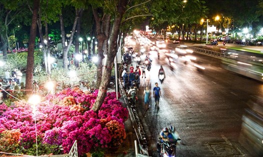 Người dân Sài Gòn ùn ùn kéo về công viên Gia Định bất kể ngày đêm để mua hoa Tết