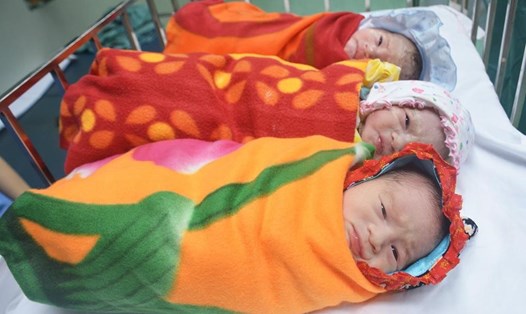 2 bé gái 1 bé trai con của của chị Thuận sau khi chào đời bằng phương pháp thụ tinh ông nghiệm