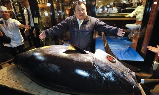 Ông Kimura đã trả 3,1 triệu USD cho con cá ngừ. Ảnh: AFP.