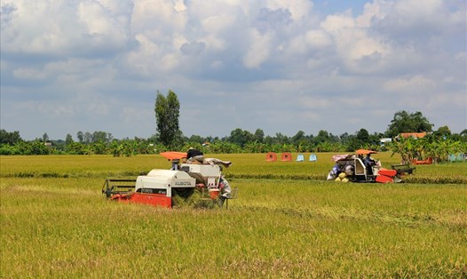Nông nghiệp góp phần quan trọng vào tăng trưởng kinh tế của tỉnh Long An