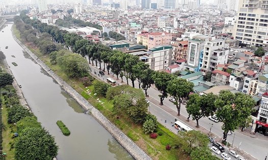Hà Nội sẽ chi khoảng 3,6 tỷ đồng để chặt hạ, di chuyển gần 500 cây xanh trên đường Láng. Ảnh: Tienphong.vn