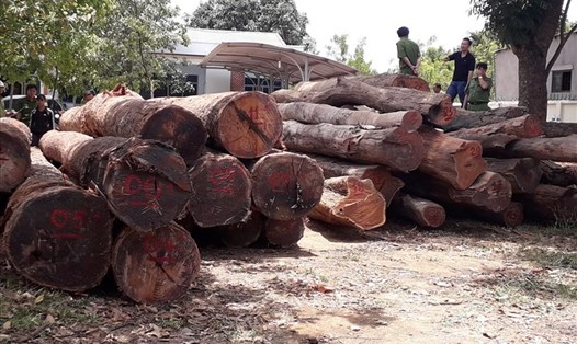 Nhiều gỗ lậu thời gian qua bị lực lượng chức năng ở Đắk Nông bắt giữ. Ảnh minh họa.