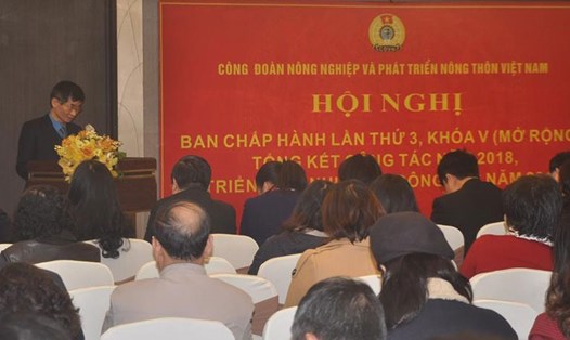 Đồng chí Trần Văn Thuật, Phó Chủ tịch Tổng LĐLĐVN phát biểu tại hội nghị. 