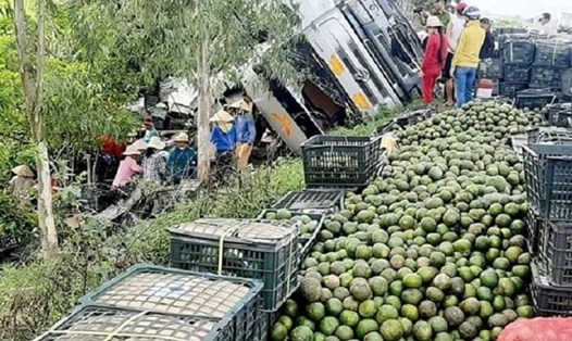 Dân thi nhau nhặt hàng tấn trái cây giúp tài xế bị lật xe trên Quốc lộ 1A Ảnh: T.C