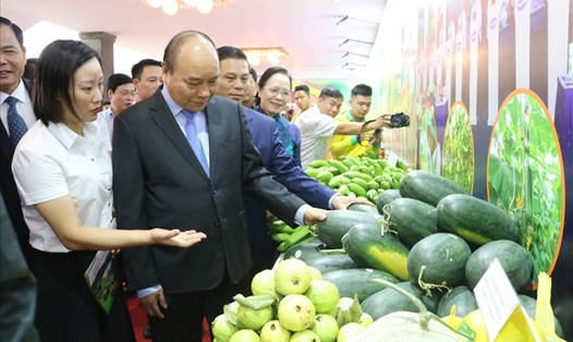 Thủ tướng Chính phủ Nguyễn Xuân Phúc cùng các đại biểu tham quan gian hàng sản phẩm nông nghiệp Hải Phòng. Ảnh MD