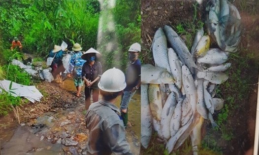 Hình ảnh người dân vớt dầu và cá chết do nước đầu nguồn sông Đà có dầu lạ. Ảnh người dân cung cấp.