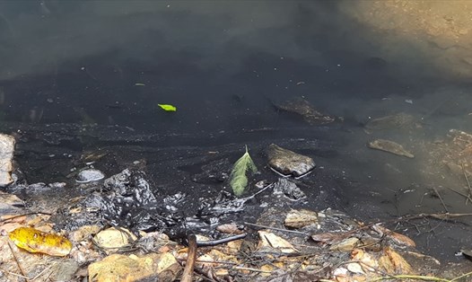 Đầu nguồn nước sông Đà bị đổ trộm dầu thải.