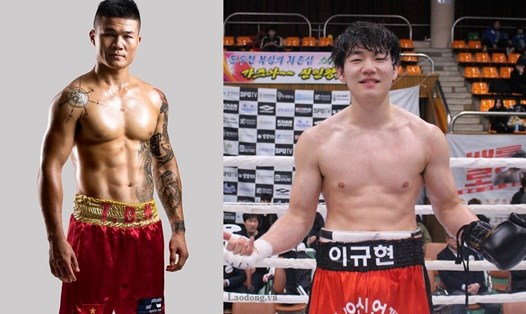 Trương Đình Hoàng đối đầu với võ sĩ Hàn Quốc tranh đại WBA khu vực Đông Á