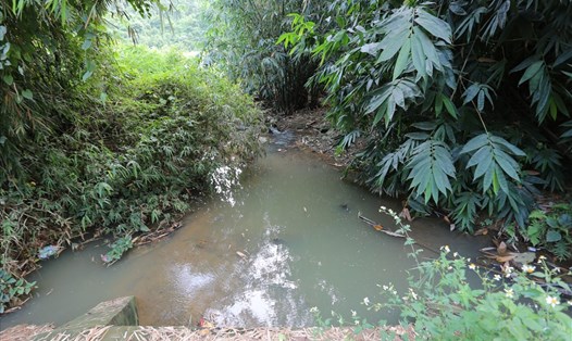 Đoạn nước thải của trại lợn chảy qua xóm Bu Chằm.