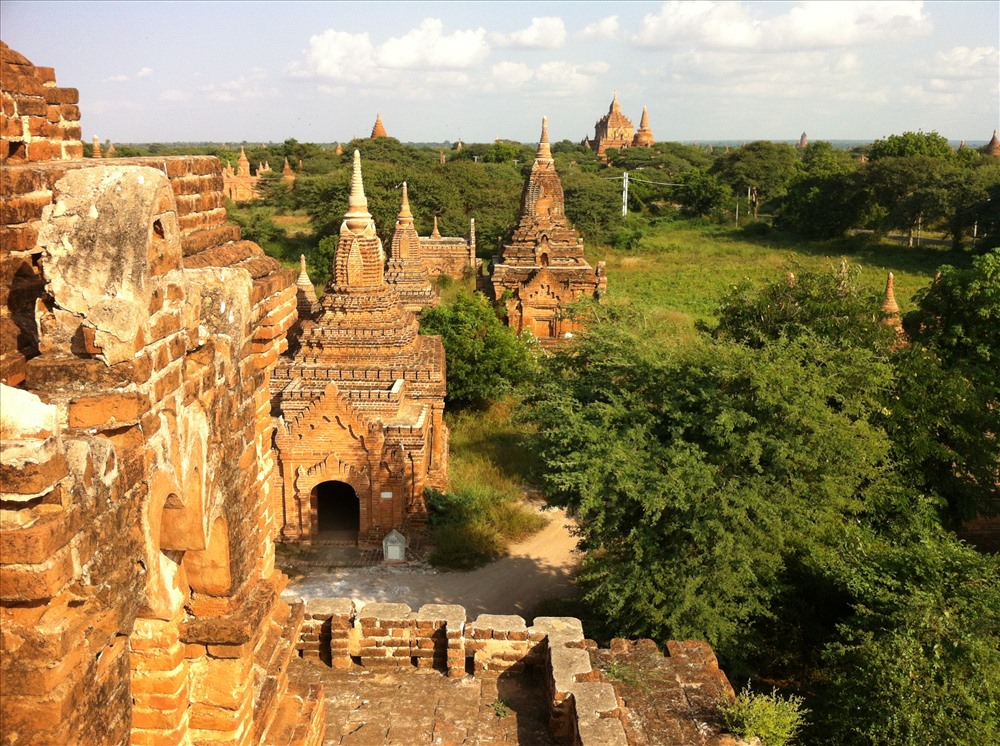 Một góc cánh đồng tháp Bagan (ảnh Trung Hiếu)