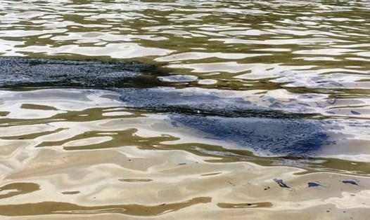 Nhiều vệt dầu loang do rò rỉ từ tàu bị chìm đã xuất hiện trên mặt sông Lòng Tàu ngày 19.10. Ảnh: Ngô Bình