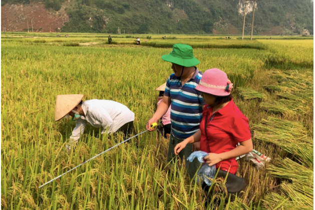 Công đoàn Điện Biên luôn xác định rõ phong trào xây dựng nông thôn mới là nhiệm vụ trọng tâm trong thời kỳ mới. Ảnh minh hoạ: H.Phương