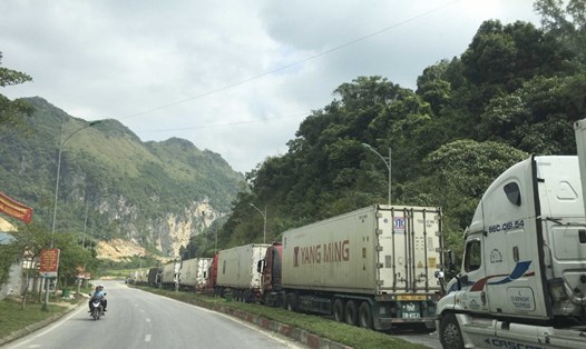Xe tải xếp hàng dài chờ làm thủ tục thông quan tại cửa khẩu Tân Thanh, Lạng Sơn (ảnh chụp chiều 22.10). Ảnh: A.TÚ