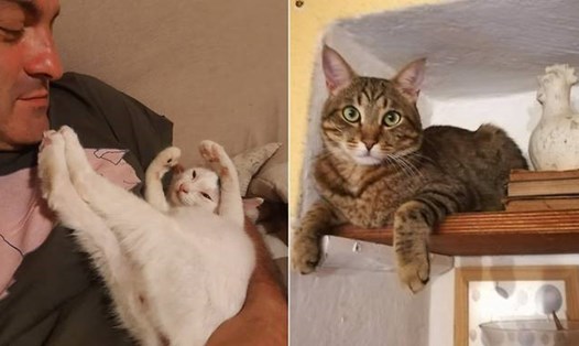 Hai chú mèo Simba và Mose đã đánh thức đôi vợ chồng người Ý kịp thời. Ảnh: Sabrina Pellegrini/Facebook.