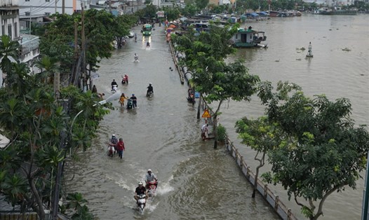 Triều cường dâng cao - đường lẫn với sông (ảnh chụp tại đường Trần Xuân Soạn, quận 7, TPHCM). Ảnh: MINH QUÂN