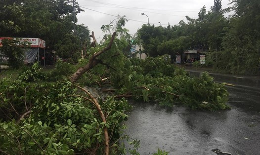 Cây xanh bị ngã đổ trên một số tuyến đường của TP Đà Nẵng. ảnh: H.Vinh