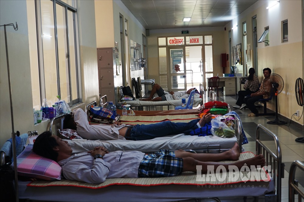 Ảnh: Hà Phương.