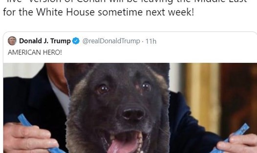 Đăng bức ảnh chỉnh sửa, Tổng thống Donald Trump dường như đã tiết lộ tên của chó nghiệp vụ tham gia tiêu diệt thủ lĩnh IS. Ảnh: Twitter