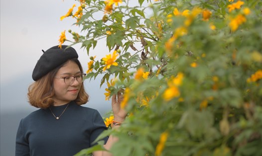 Hoa dã quỳ ở miền Tây Quảng Trị. Ảnh: Nguyễn Khánh.