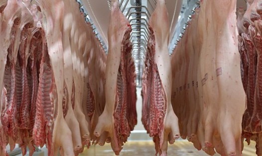 Bộ Nông nghiệp và Phát triển nông thôn và Bộ Công thương thống nhất phương án xem xét, nhập khẩu thịt lợn để đảm bảo nguồn cung. Ảnh: Kh.L
