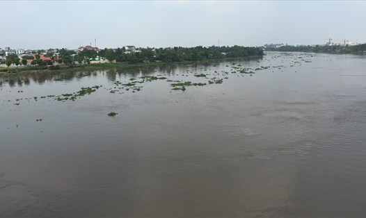 Sông Sài Gòn đoạn xảy ra vụ việc.