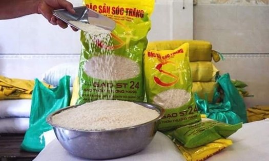 Gạo ST 25 được vinh danh trở thành gạo ngon nhất thế giới. Ảnh Nhật Hồ