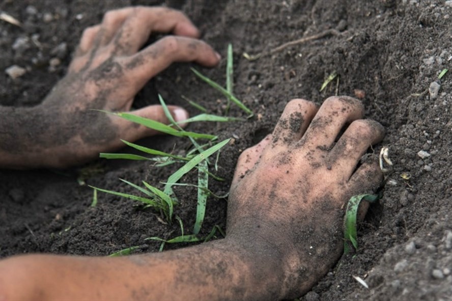 Tiếp xúc trực tiếp với bùn đất sẽ có nguy cơ cao nhiễm vi khuẩn Whitmore. Ảnh: Supplied.
