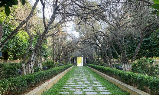 Một không gian thạnh tịnh ở nhà vườn An Hiên. Ảnh: TT.