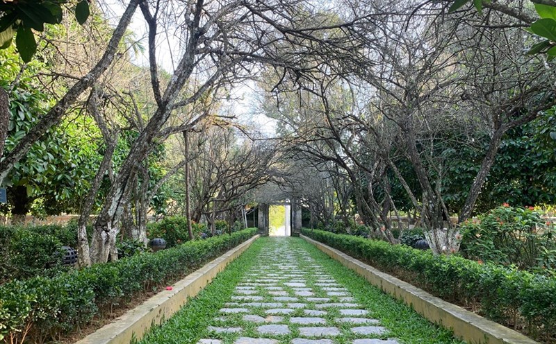 Một không gian thạnh tịnh ở nhà vườn An Hiên. Ảnh: TT.