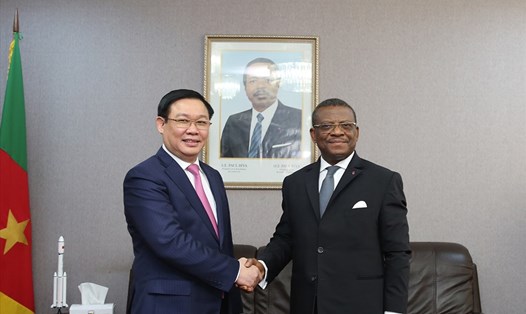 Phó Thủ tướng Vương Đình Huệ và Thủ tướng Cameroon Joseph Dion Ngute. Ảnh: Thành Chung.