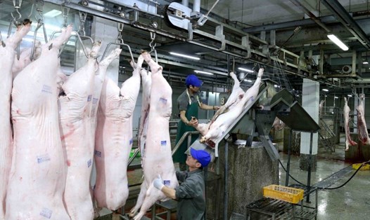 Nguồn cung trong nước khan hiếm đẩy giá thịt lợn lên cao, Chính phủ đồng ý phương án nhập khẩu thịt lợn. Ảnh: KH.V