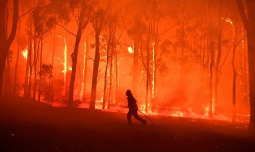 Đám cháy ở gần trường học Colo Heights, phía Tây Nam của Sydney ngày 19.11. Ảnh: REUTERS.