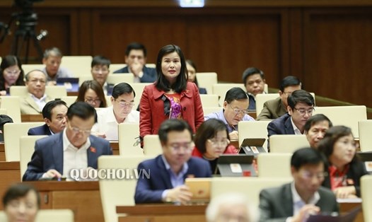 Đại biểu Bùi Thị Quỳnh Thơ (đoàn Hà Tĩnh) phát biểu ý kiến tại phiên thảo luận. Ảnh Quochoi.vn.